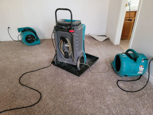 Best Water damage restoration process  in St Michaels, MD