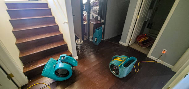 Best Water damage restoration near me  in St Michaels, MD