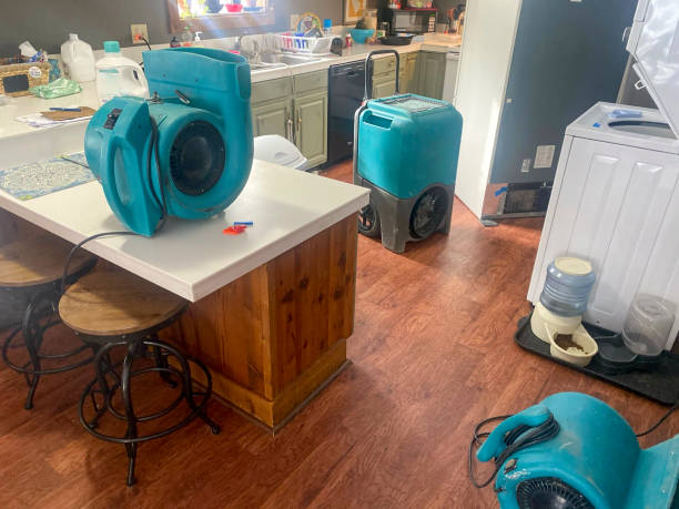 Best Water damage cleanup near me  in St Michaels, MD