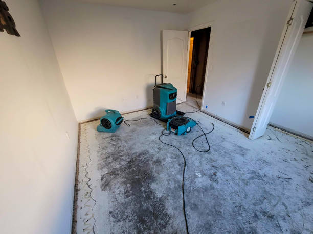 Best 24/7 water damage repair  in St Michaels, MD