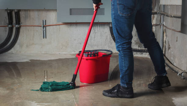 Best Flood damage cleanup  in St Michaels, MD