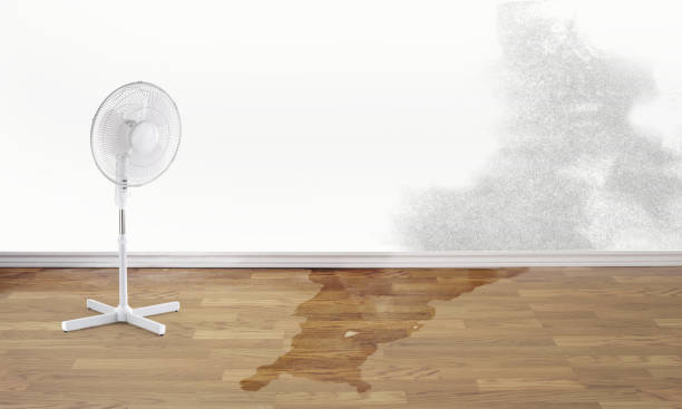 Best 24-hour water damage restoration  in St Michaels, MD