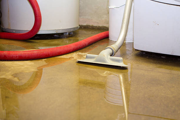 Best Water damage restoration near me  in St Michaels, MD