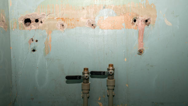 Best Sewage cleanup and water damage restoration  in St Michaels, MD