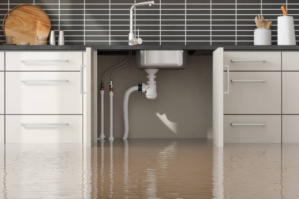 Best Water damage restoration near me  in St Michaels, MD