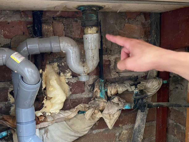 Best Flooded house restoration  in St Michaels, MD