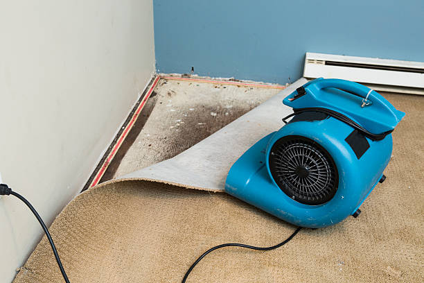  St Michaels, MD Water damage restoration Pros